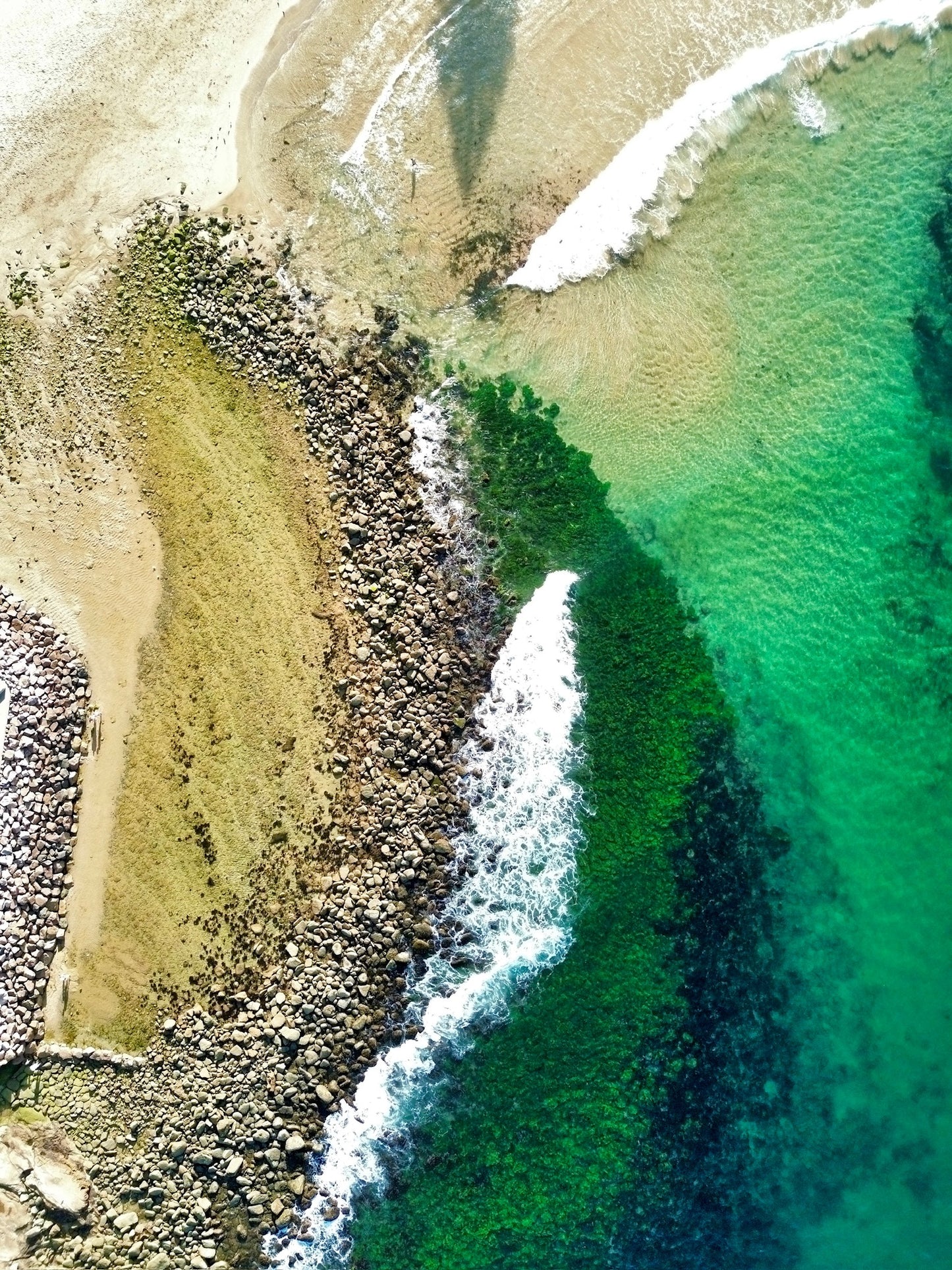 Seagrass