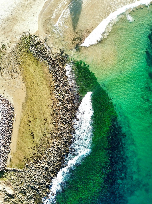 Seagrass